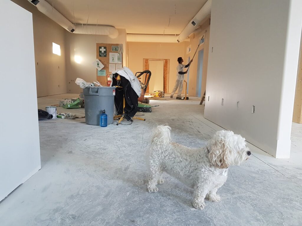 Interior renovation scene with a painter working and a dog in the foreground.